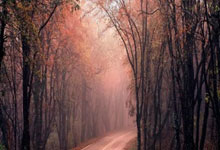 金年会:西甲第18輪皇家馬德裏0-0加的斯 本澤馬啞火約維奇替補出場.