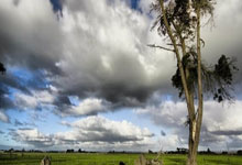 金年会体育官方网站:西甲第6輪巴塞羅那3-2塞爾塔 萊萬雙響坎塞洛絕殺 巴薩驚天逆轉取5連勝!.